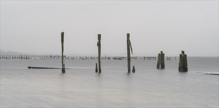 Long exposure, groynes and wooden stakes in the Baltic Sea, Rügen, Mecklenburg-Western Pomerania,