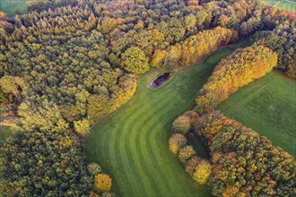 Golf course near Vechta in autumn, Grünenmoor, forest in autumn in the Moorbach valley near Vechta,