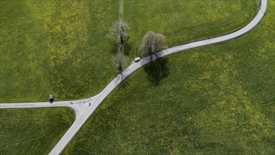 Aerial view of a winding country road near Wilpoldsried in UnterallgÃ¤u through flowering meadows