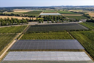 Agri-photovoltaic test plant, an apple orchard with two different systems of PV modules was roofed