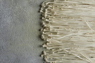 Enoki mushrooms, raw, top view, close-up