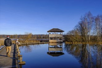 Plank path to the observation tower, high water in DieÃŸen am Lake Ammer, Diessen, Fünfseenland,