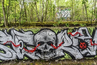 Graffiti on an abandoned marshalling yard, on the Rhine-Herne Canal, near Herne, Totenkopf, North