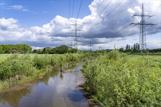 Boyetal-Ost landscape conservation area, flood meadows, lower course of the Boye, stream, runs