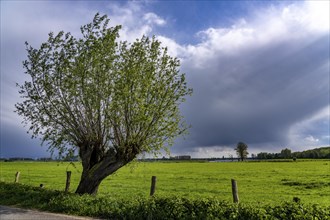 Bislicher Insel, nature reserve on the Lower Rhine near Xanten, formed from old Rhine arms, gravel