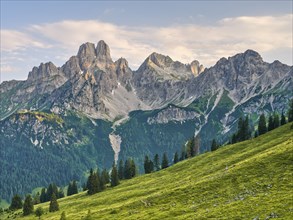 Alpine meadow in front of the large Bischofsmütze, Gosaukamm, Dachstein massif, Sulzenalm,