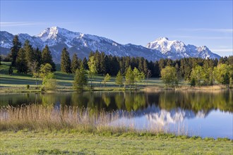 Hegratsrieder See near Füssen, AllgÃ¤u Alps, snow, AllgÃ¤u, Bavaria, Germany, Europe