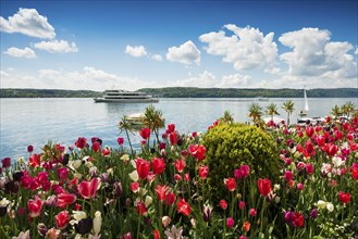 Lake promenade, Überlingen, Lake Constance, Baden-Württemberg, Germany, Europe