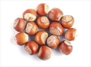 Pile of hazelnuts with shell isolated on white background. top view