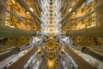 Vaulted ceiling, columns, Sagrada Familia, Basilica by Antoni Gaudi, Barcelona, Catalonia, Spain,