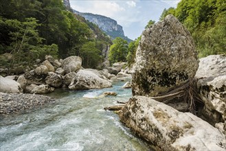 Verdon Gorge, Gorges du Verdon, Verdon Regional nature park Park, Provence,