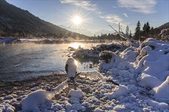 Snow-covered riverbed, river, winter, sunbeams, backlight, Isar, Wetterstein mountains in the