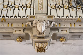 Head of a billy goat, sculpture, decoration in the library of Salem Castle, former imperial abbey,