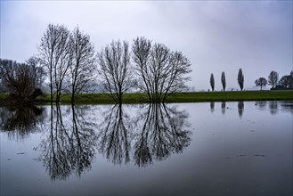 High water on the Rhine at Düsseldorf-Kaiserswerth, foggy weather, riverside paths and Rhine