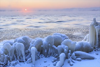 Shore of a lake covered with ice at sunrise, winter, Lake Starnberg, Alpine foothills, Upper