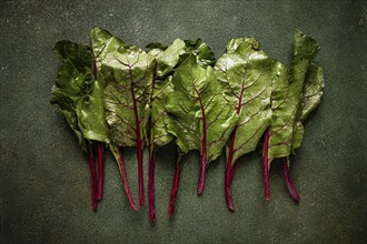 Fresh, green leaves, stem with beet leaves, on the table, top view, rustic, no people