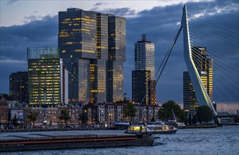 The skyline of Rotterdam, with the Erasmus Bridge over the Nieuwe Maas, skyscrapers in the Kop van