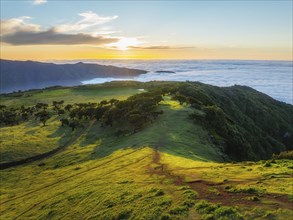 Aerial view of idyllic scenic Fanal Laurisilva forest with centuries-old til trees above clouds on