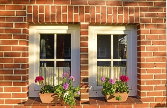 Europe, Germany, Lower Saxony, Stade district, flower window with geraniums, brickwork, Europe