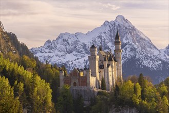 Neuschwanstein Castle near Füssen, evening mood, Schwangau, AllgÃ¤u Alps, snow, OstallgÃ¤u,