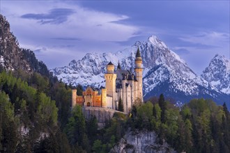 Neuschwanstein Castle near Füssen, Schwangau, AllgÃ¤u Alps, night shot, illuminated, snow, East