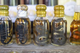 Choum, rice liquor, rice wine with pickled scorpions and snakes for sale, Laos, Asia