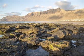 Lanzarote, Canary islands, SpainLate afternoon light on beach and cliffs La Caleta de Famara,