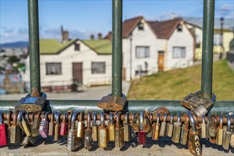 Love locks on a fence, residential houses behind, city of Punta Arenas, Patagonia, Chile, South