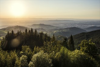 View of the Rhine valley and Freiburg, sunset, Schauinsland, Freiburg im Breisgau, Black Forest,