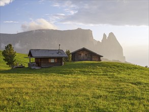 Alpine huts on the Seiser Alm in the last evening light, Schlern, South Tyrol, Trentino Alto Adige