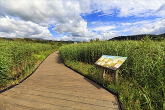 Boardwalk with information board at Dyfi Wildlife Centre, Dyfi UNESCO Biosphere Reserve for