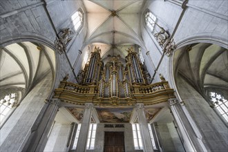 Baroque organ case in Salem Minster, Salem, Lake Constance, Lake Constance district,