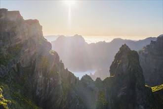 Aerial view at Pico do Arieiro of mountains over clouds with blooming Cytisus shrubs on sunset with