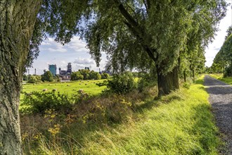 Duisburg Friemershein, field path, floodplain along the Rhine, nature reserve Rheinaue