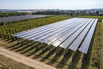 Agri-photovoltaic test plant, an apple orchard with two different systems of PV modules was roofed