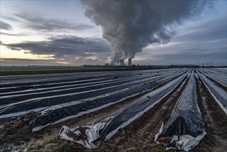 Neurath lignite-fired power plant, near Grevenbroich, power plant units F and G, A-E, asparagus