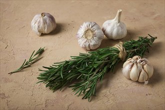 Fresh bunch of rosemary with garlic, on a beige background, food concept