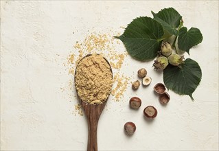 Wooden spoon with hazelnut flour, top view, no people, on a white table