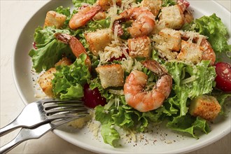 Caesar salad, with shrimp, on a white background, homemade, no people