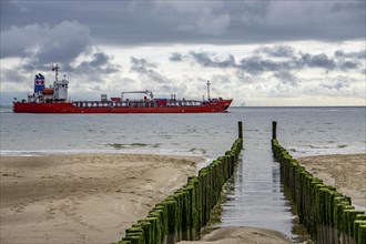 North Sea coast in Zeeland, called Zeeland Riviera, breakwater, made of wooden piles, near