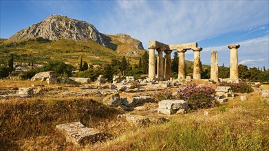 Archaic Temple of Apollo, Doric columns, Wide field of ruins with ancient columns, wild flowers and