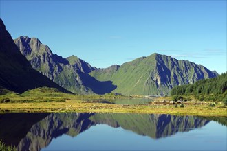 Mountains reflected in the water of an inlet, Leknes, Vestvagoy, Lofoten, Nordland, Norway, Europe