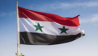 The flag of Syria flutters in the wind