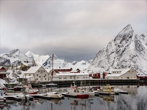 Hamnoy harbour, snowy mountains in the background, Hamnoy, Reine, Moskenesoya, Lofoten, Norway,