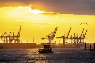 Port of Hamburg, view of the Blohm + Voss shipyard, evening, cranes of the container terminals,