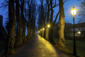 The Burgallee in Düsseldorf-Kaiserswerth, tree-lined avenue, at the old imperial palace, on the