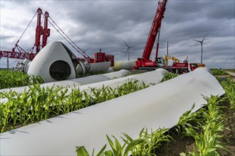 Repowering, dismantled Enercon E-58 wind turbine in a wind farm near Issum, 9 older wind turbines