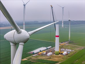 Erection of the tower of a wind power plant in a wind farm near Issum, 9 older wind turbines from