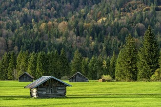 Green meadow with log cabins, wooden hay huts, forest, mountain, Wallgau, Upper Bavaria, Bavaria,