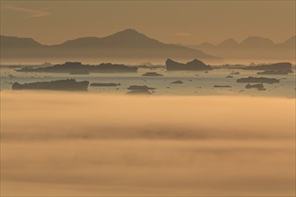 Icebergs in the fog, midnight sun, summer, Ilulissat, Ilulissat Icefjord, Disko Bay, West